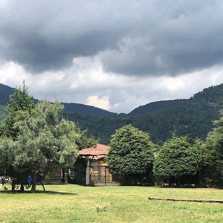 Mesa de Palomas Chalet מראה חיצוני תמונה